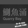 中午在鰂魚涌2023, field recording