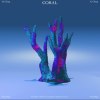 珊瑚CORAL