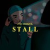 失速 STALL