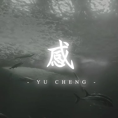 感。