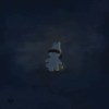 蛇舞-feat.小K