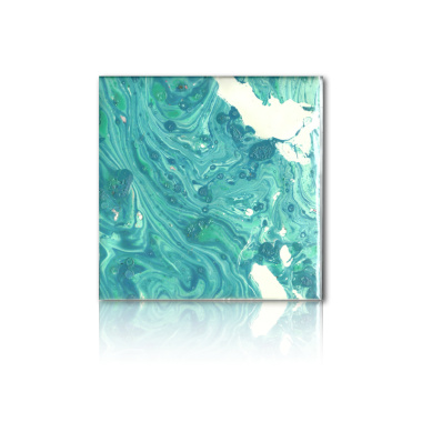 水母