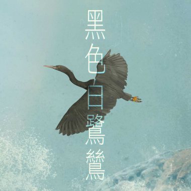 黑色白鷺鷥 (Demo)