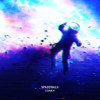 Spacewalk
