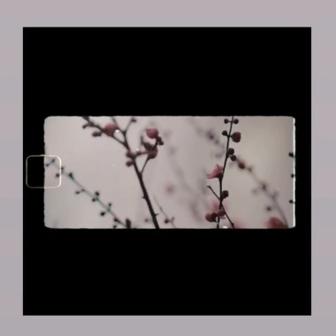梅