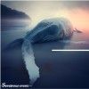 暮墓 Dawn & Grave [Overture] Demo