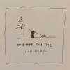 老樹 old tree, old tree