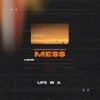 Luker-Mess