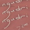 ngudri 晃晃