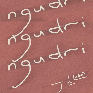 ngudri 晃晃