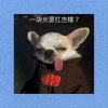 連我家的狗都記得妳