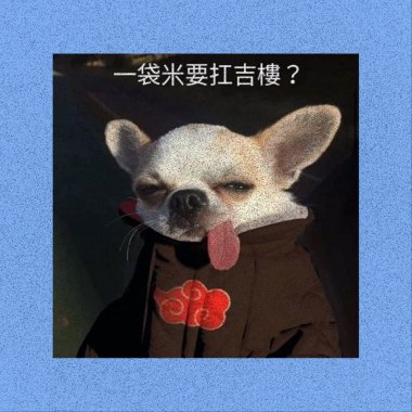 連我家的狗都記得妳