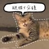 瞇個5分鐘