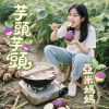 芋頭芋頭