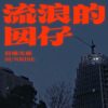 流浪的囡仔_DemoV4(不能再修了！)