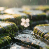 細雨裁春光  |   輕音樂  |