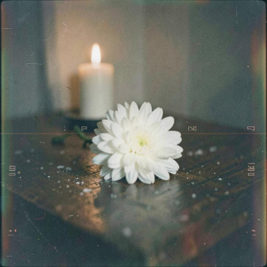 芒花雪  |  輕音樂  |