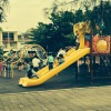 小皇帝