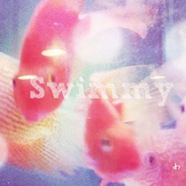 金魚/北區