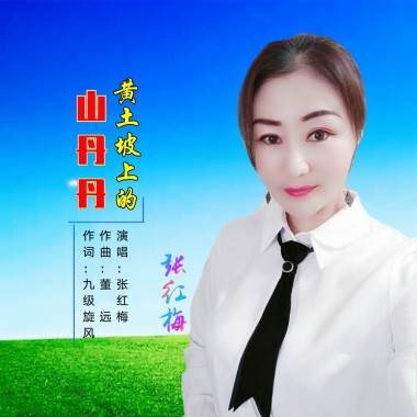 张红梅 - 黄土坡上的山丹丹