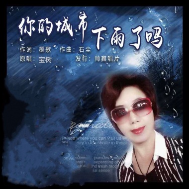 宝树-你的城市下雨了吗