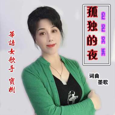 宝树 - 孤独的夜