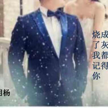 烧成了灰我都记得你