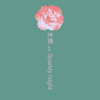 妄(prod. Sparkly Night)