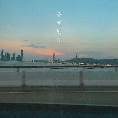 愛我別走 cover