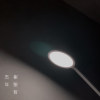 崔聖哲 - 五年