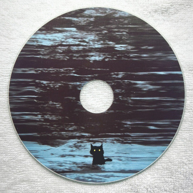 浪浪