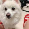 自然醒