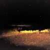 silent night