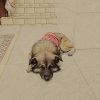 Cruel World (Demo)