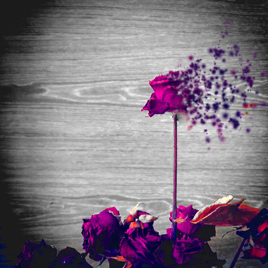 Still gonna die anyway demo