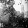迷失lost(Demo)