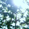 缺口demo