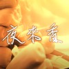 夜來香 A Cappella Cover｜純粹人聲樂團 The Pure