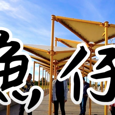魚仔 A Cappella Cover│純粹人聲樂團The Pure
