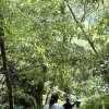 ngasal na Qwali (那山的老鷹）