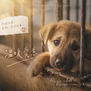 溫暖愛意