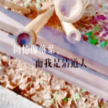 回憶像落葉，而我是清道夫 / leaves