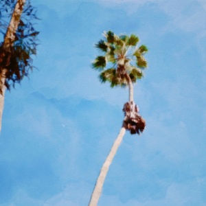 太陽風 solar wind (demo)