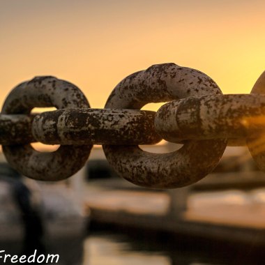 Freedom