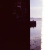 Beautiful Dead_Demo