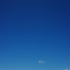 白色落水DEMO