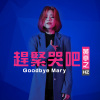 趕緊哭吧-黃亭之-Tingzhi.hz -Goodbye Mary 【想哭就哭吧】
