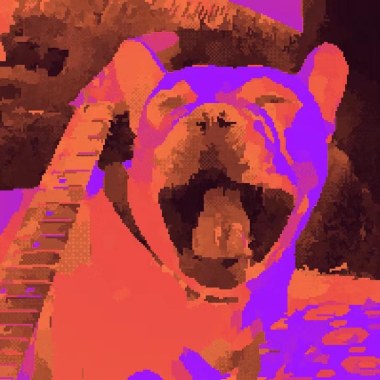 Lucky Dog