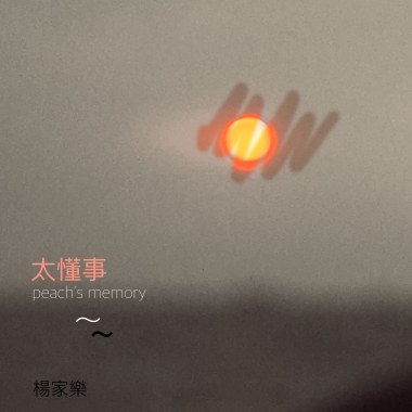 太懂事(demo)