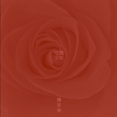 玫瑰少年